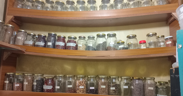 Farmers seed bank in the Muranga project area in April 2025. Source: SACDEP Library