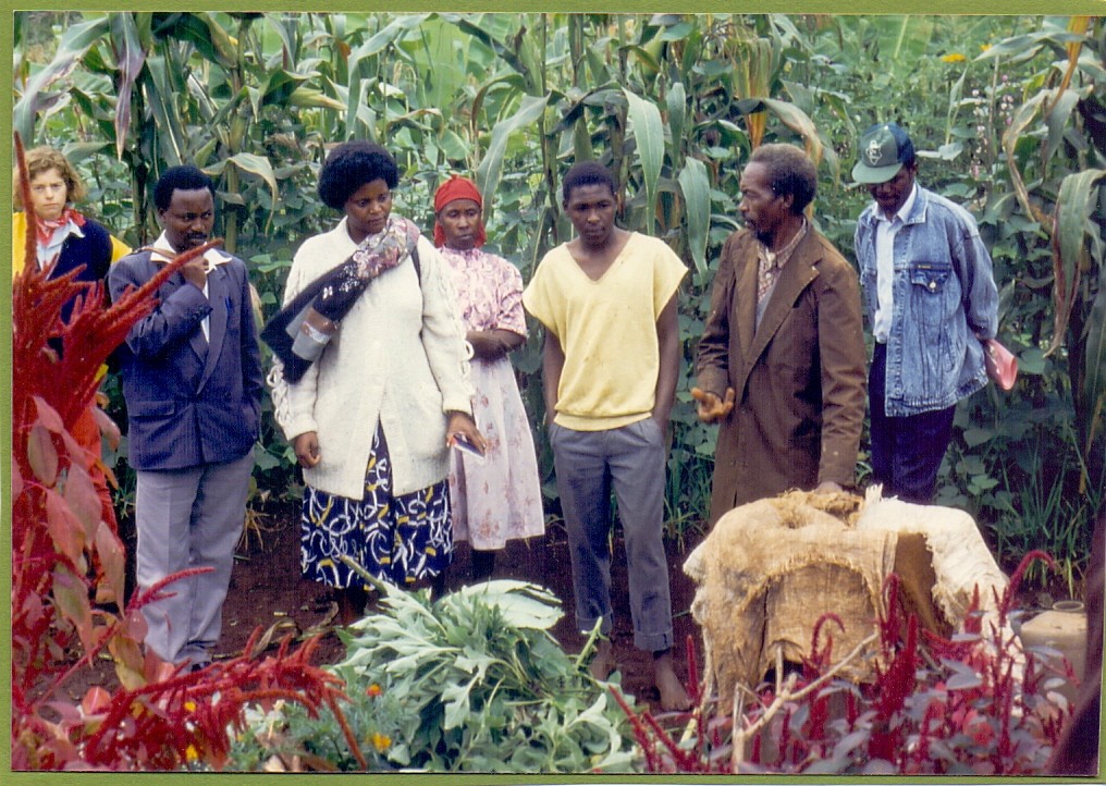 SACDEP farmers being trained in the field in Gatundu, Kiambu County 1996. Source: SACDEP Library
