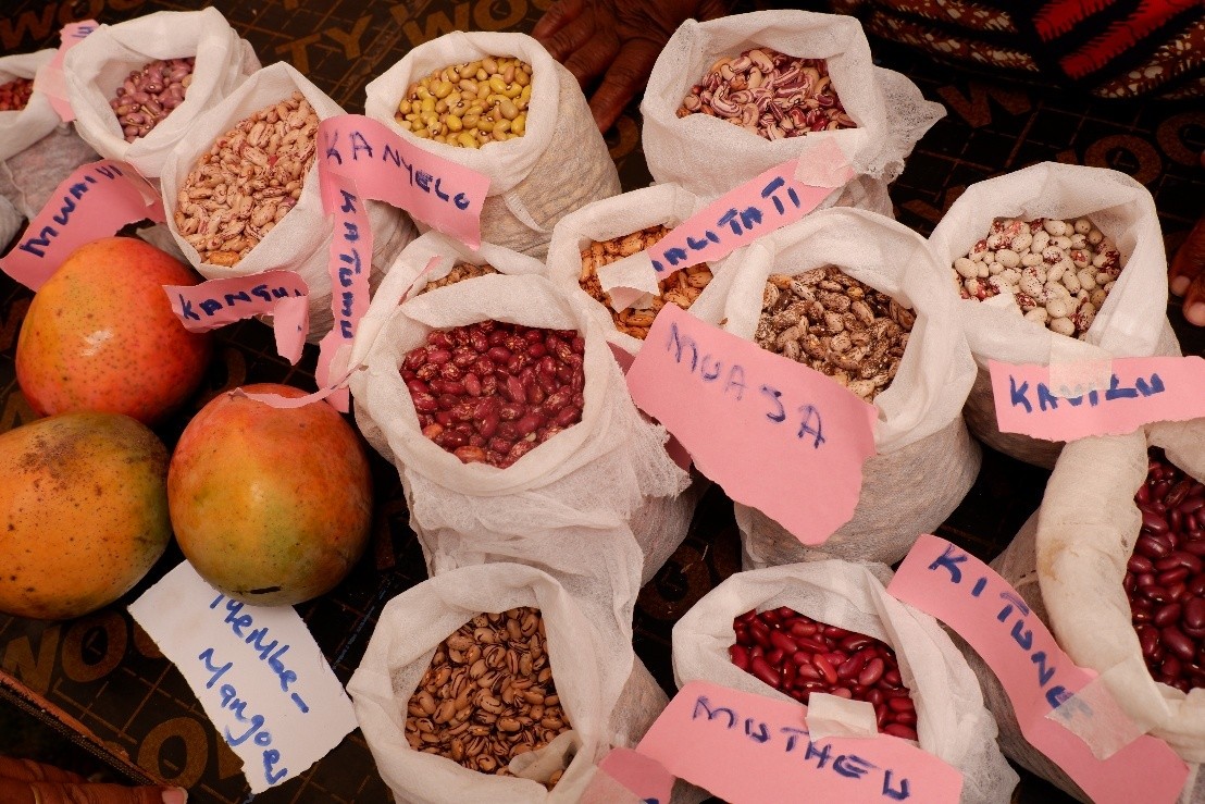 Assorted legume and cereal seed stored by farmers in a group common seed store in March 2025. Source: SACDEP Library