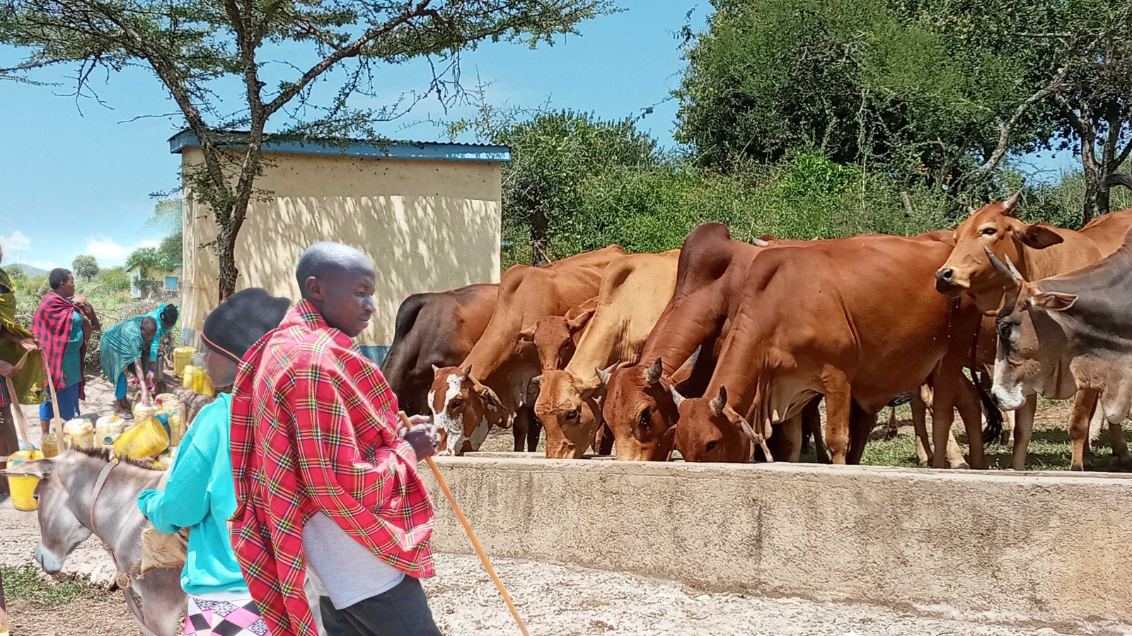 Improved water accessibility for community and livestock beneficiaries of MALVE Project in Kajiado County in March 2025. Source; SACDEP Library