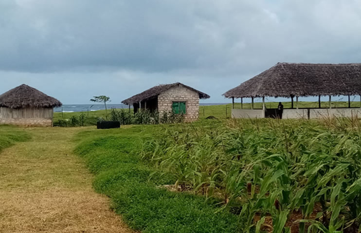 Kilifi Youth Skills Development Center. The Indian Ocean is in the Background June 2024