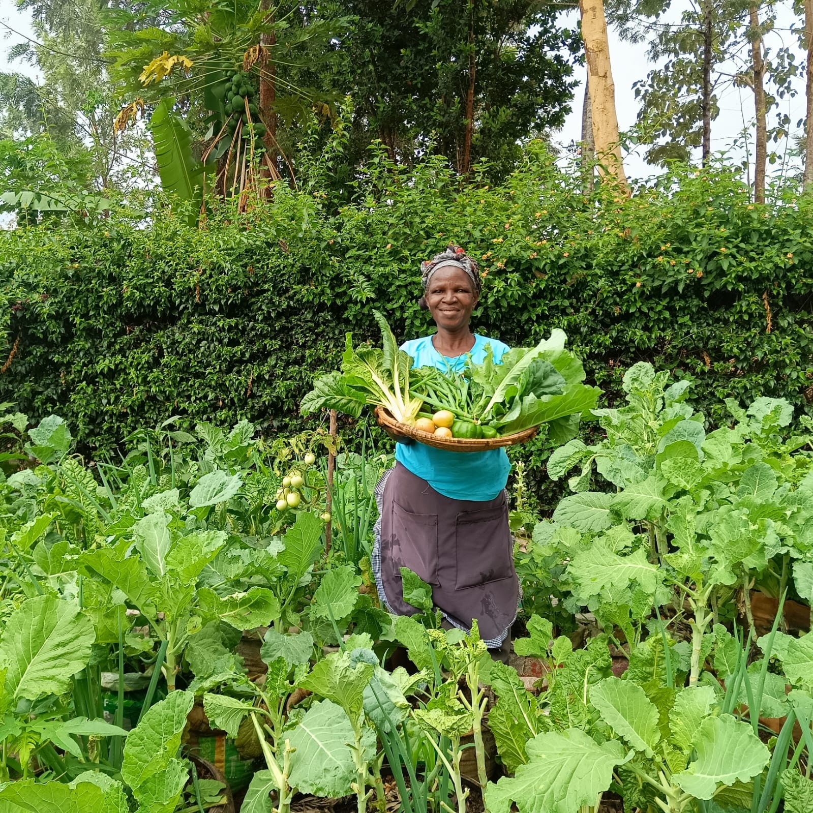 Milka Karimi displays her organic vegetables produce from her kitchen garden. September 2025. Source SACDEP Library