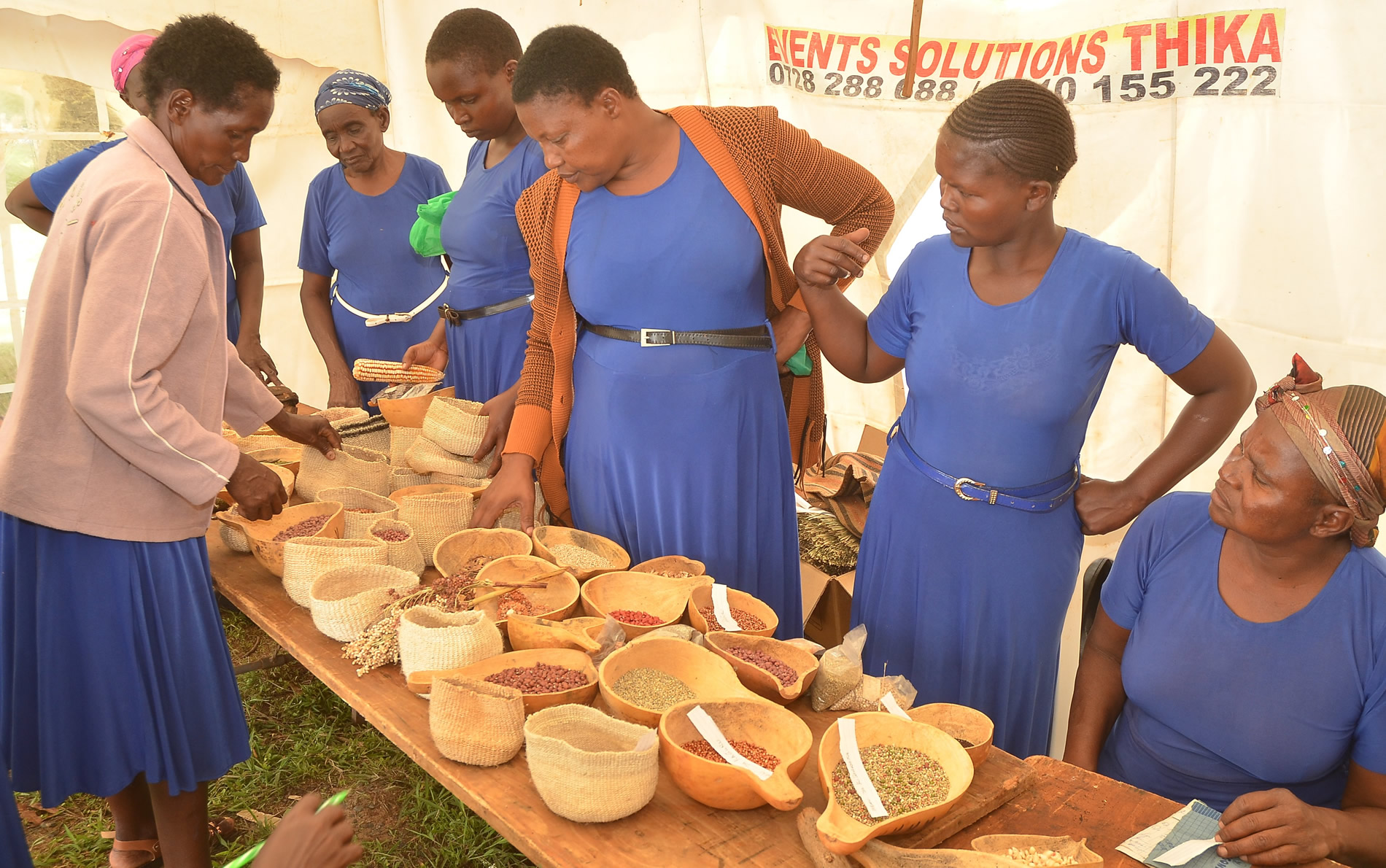 Women from Kyeni Self Help Group from Kitui County proudly exhibits varieties of conserved seeds diversity in a farmers congress held at kilimambogo. February 2024. Source; SACDEP Library