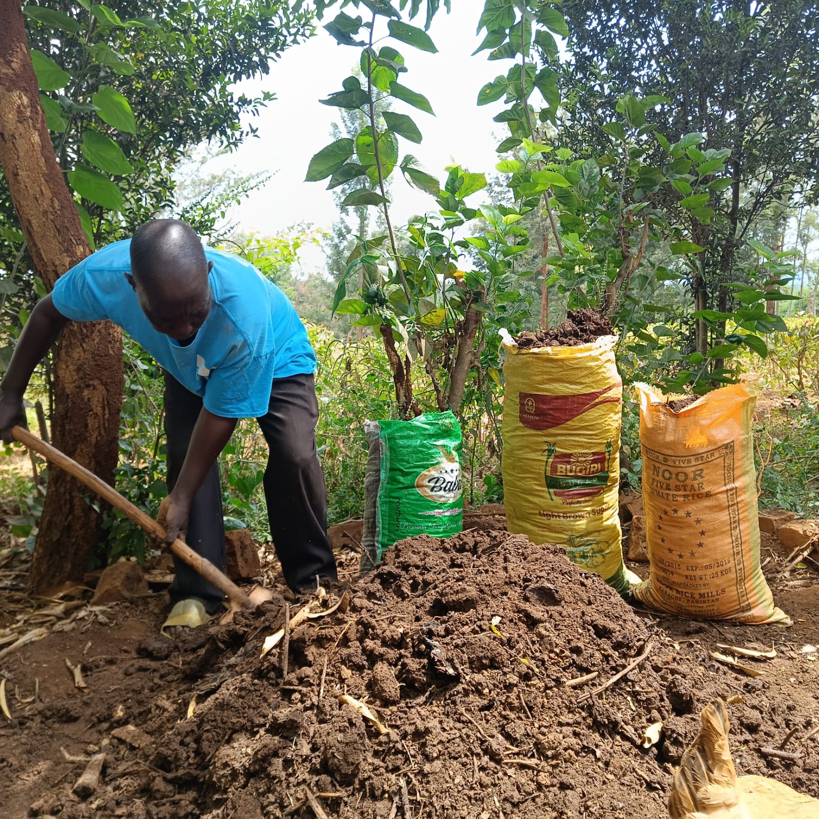 Cyripan of Mwondu village, Mbeere North Embu County packing biofertilizer for use in his farm and for sale. March 2025. Source: SACDEP Library