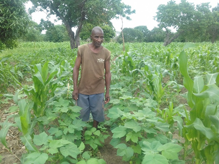 Benson from the Mkoroshoni Self Help Group of Lamu is inspecting his crops in February 2023. Source: SACDEP Library